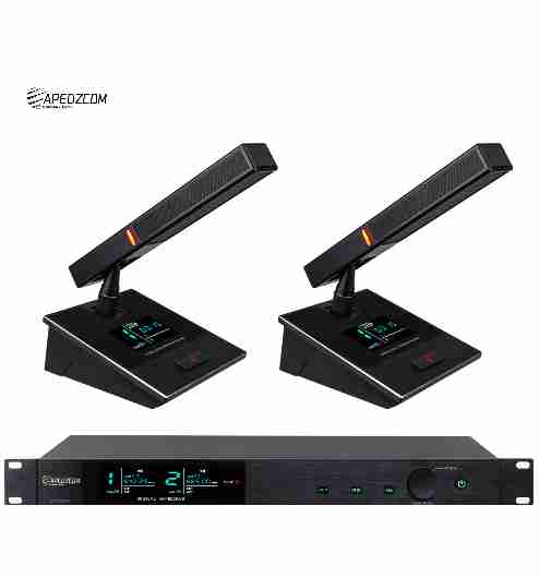 真分集无线一拖二鹅颈话筒